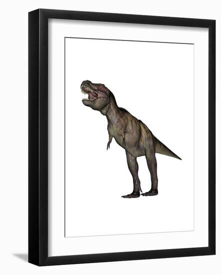 Aggressive Tyrannosaurus Rex Growling, White Background-null-Framed Art Print