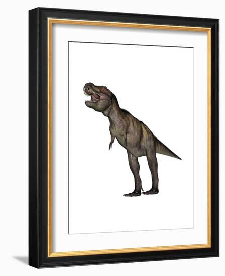 Aggressive Tyrannosaurus Rex Growling, White Background-null-Framed Art Print