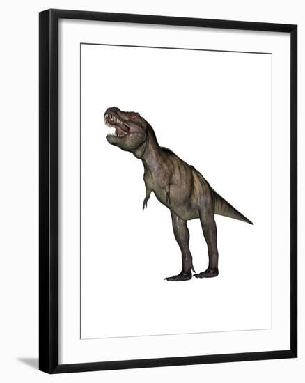 Aggressive Tyrannosaurus Rex Growling, White Background-null-Framed Art Print