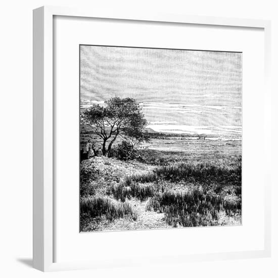 Agha Valley, Central Pampa, Argentina, 1895-null-Framed Giclee Print