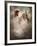 Agibox-Lynne Davies-Framed Photographic Print