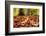 Agile frog sitting in autumn leaves on forest floor, Germany-Konrad Wothe-Framed Photographic Print