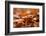 Agile frog sitting in autumn leaves, Upper Bavaria, Germany-Konrad Wothe-Framed Photographic Print
