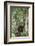 Agile Gibbon-DLILLC-Framed Photographic Print