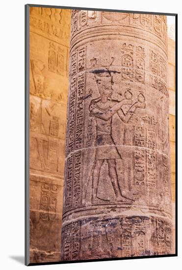 Agilkia Island, Aswan, Egypt. Carvings on column at Philae Temple, a UNESCO World Heritage Site.-Emily Wilson-Mounted Photographic Print