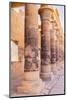 Agilkia Island, Aswan, Egypt. Carvings on columns at the Philae Temple, UNESCO World Heritage Site.-Emily Wilson-Mounted Photographic Print