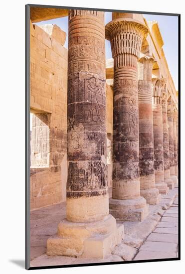 Agilkia Island, Aswan, Egypt. Carvings on columns at the Philae Temple, UNESCO World Heritage Site.-Emily Wilson-Mounted Photographic Print