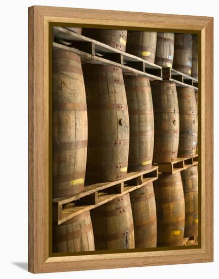 Aging Casks at Bacardi Rum Factory, Bahamas, Caribbean-Walter Bibikow-Framed Premier Image Canvas