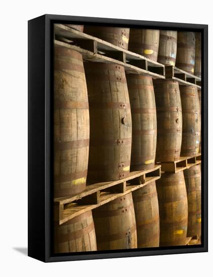 Aging Casks at Bacardi Rum Factory, Bahamas, Caribbean-Walter Bibikow-Framed Premier Image Canvas