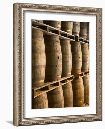 Aging Casks at Bacardi Rum Factory, Bahamas, Caribbean-Walter Bibikow-Framed Photographic Print