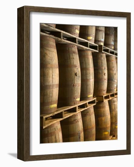 Aging Casks at Bacardi Rum Factory, Bahamas, Caribbean-Walter Bibikow-Framed Photographic Print