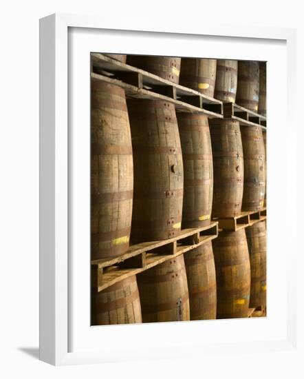 Aging Casks at Bacardi Rum Factory, Bahamas, Caribbean-Walter Bibikow-Framed Photographic Print