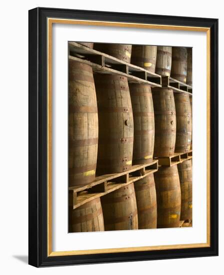 Aging Casks at Bacardi Rum Factory, Bahamas, Caribbean-Walter Bibikow-Framed Photographic Print