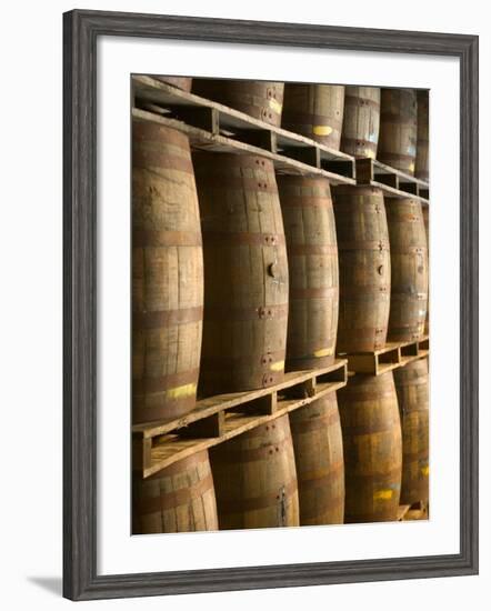 Aging Casks at Bacardi Rum Factory, Bahamas, Caribbean-Walter Bibikow-Framed Photographic Print