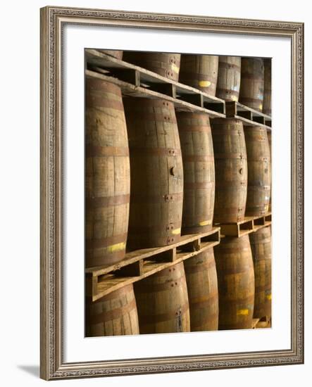 Aging Casks at Bacardi Rum Factory, Bahamas, Caribbean-Walter Bibikow-Framed Photographic Print