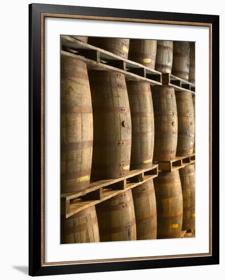 Aging Casks at Bacardi Rum Factory, Bahamas, Caribbean-Walter Bibikow-Framed Photographic Print