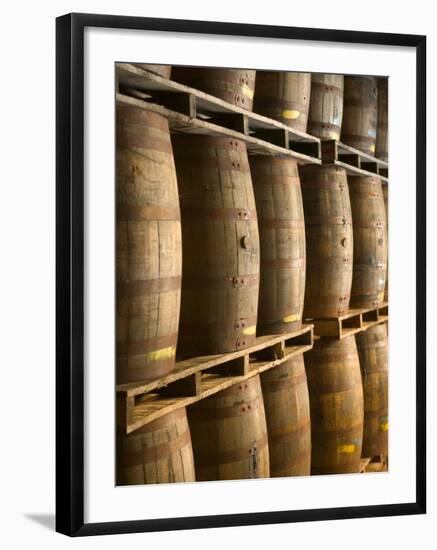 Aging Casks at Bacardi Rum Factory, Bahamas, Caribbean-Walter Bibikow-Framed Photographic Print