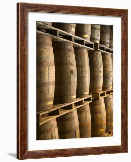 Aging Casks at Bacardi Rum Factory, Bahamas, Caribbean-Walter Bibikow-Framed Photographic Print