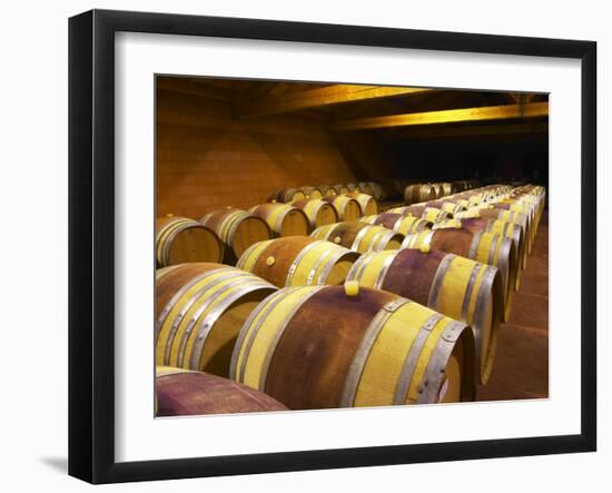 Aging Cellars with Rows of Oak Barrels, Domaine Pierre Gaillard, Malleval, Ardeche, France-Per Karlsson-Framed Photographic Print