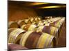 Aging Cellars with Rows of Oak Barrels, Domaine Pierre Gaillard, Malleval, Ardeche, France-Per Karlsson-Mounted Photographic Print