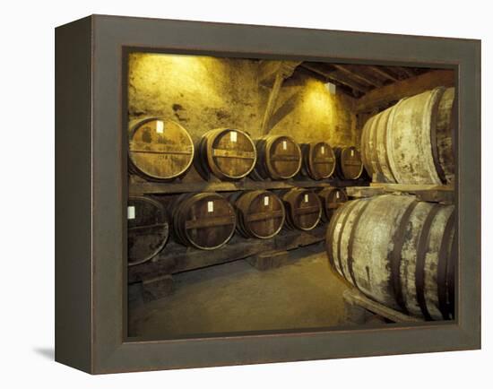 Aging of Armagnac in Gascony Oak Barrels, Aquitania, France-Michele Molinari-Framed Premier Image Canvas