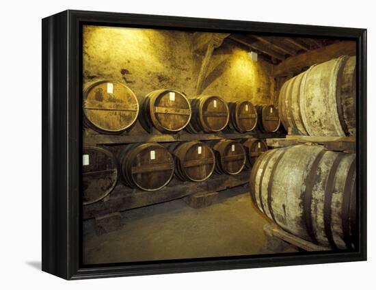 Aging of Armagnac in Gascony Oak Barrels, Aquitania, France-Michele Molinari-Framed Premier Image Canvas