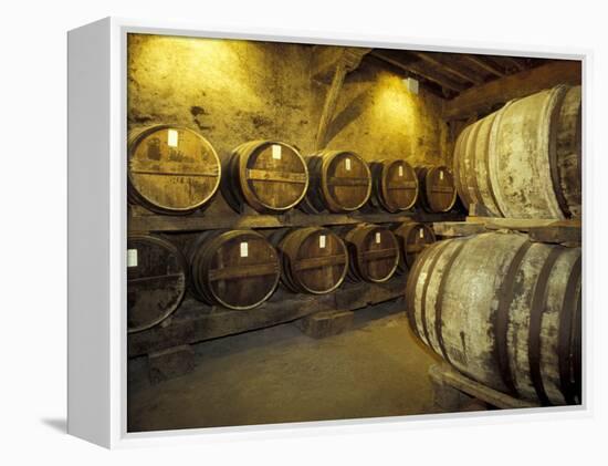 Aging of Armagnac in Gascony Oak Barrels, Aquitania, France-Michele Molinari-Framed Premier Image Canvas