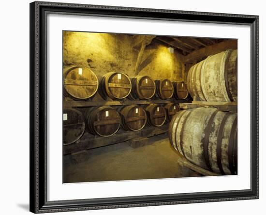 Aging of Armagnac in Gascony Oak Barrels, Aquitania, France-Michele Molinari-Framed Photographic Print