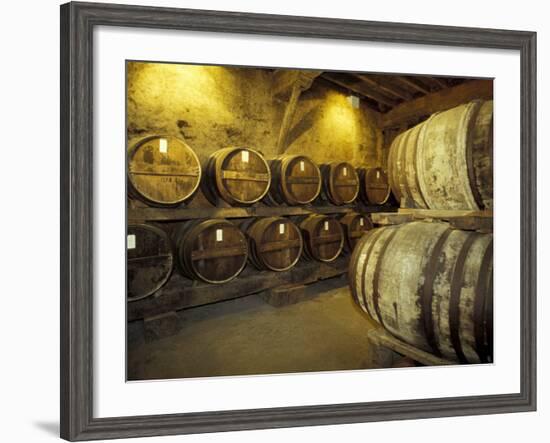 Aging of Armagnac in Gascony Oak Barrels, Aquitania, France-Michele Molinari-Framed Photographic Print