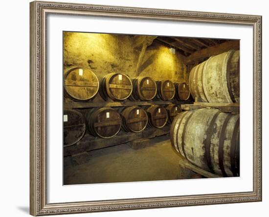 Aging of Armagnac in Gascony Oak Barrels, Aquitania, France-Michele Molinari-Framed Photographic Print