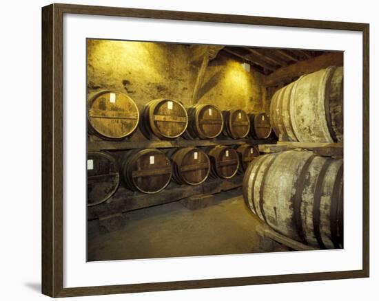 Aging of Armagnac in Gascony Oak Barrels, Aquitania, France-Michele Molinari-Framed Photographic Print