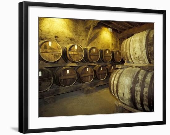 Aging of Armagnac in Gascony Oak Barrels, Aquitania, France-Michele Molinari-Framed Photographic Print