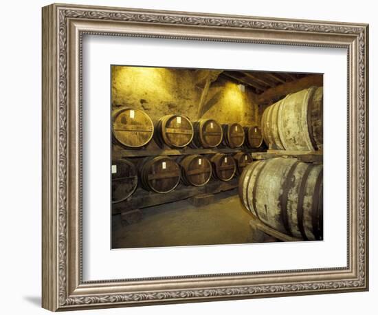 Aging of Armagnac in Gascony Oak Barrels, Aquitania, France-Michele Molinari-Framed Photographic Print