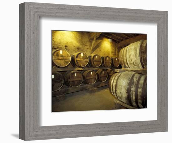 Aging of Armagnac in Gascony Oak Barrels, Aquitania, France-Michele Molinari-Framed Photographic Print