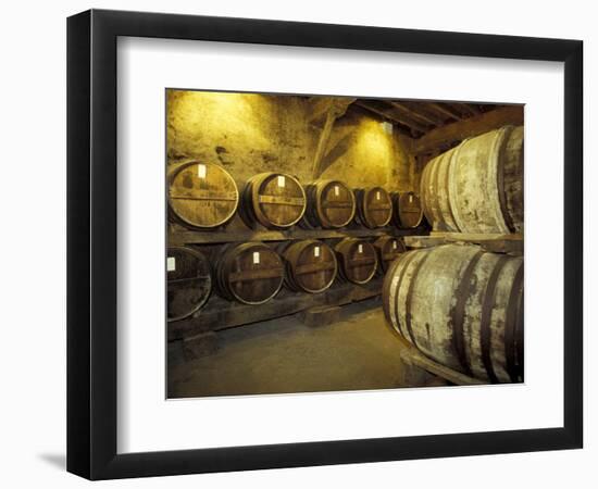 Aging of Armagnac in Gascony Oak Barrels, Aquitania, France-Michele Molinari-Framed Photographic Print