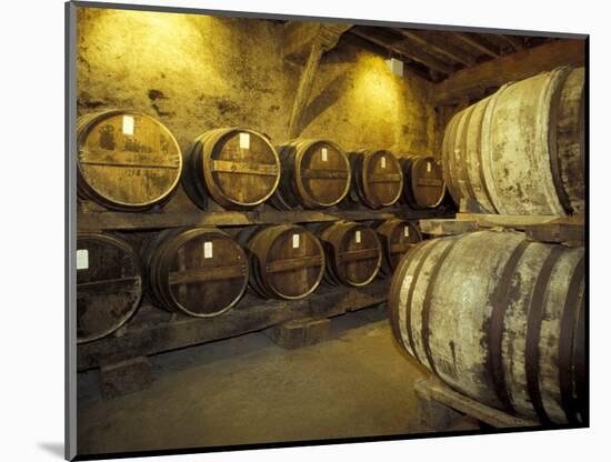 Aging of Armagnac in Gascony Oak Barrels, Aquitania, France-Michele Molinari-Mounted Photographic Print