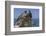 Agios Ioannis Chapel, Used in the Film Mama Mia, Skopelos, Sporades, Greek Islands, Greece, Europe-Rolf Richardson-Framed Photographic Print