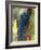 Aglianico Grapes (Grown in Campania and Basilicata)-Hans-peter Siffert-Framed Photographic Print