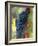 Aglianico Grapes (Grown in Campania and Basilicata)-Hans-peter Siffert-Framed Photographic Print