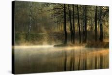 Silent Light.-Agnieszka Jankowska-Framed Premier Image Canvas