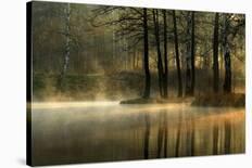 Silent Light.-Agnieszka Jankowska-Framed Premier Image Canvas