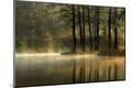 Photographic Print