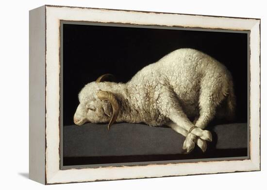 Agnus Dei, 1635-1640-Francisco de Zurbarán-Framed Premier Image Canvas