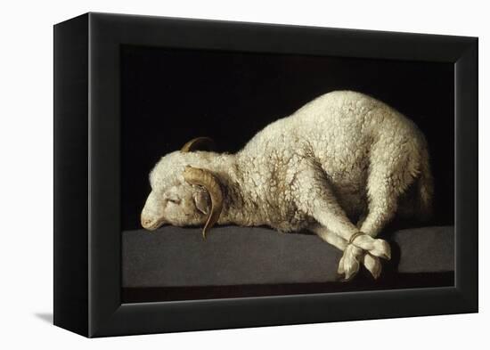 Agnus Dei, 1635-1640-Francisco de Zurbarán-Framed Premier Image Canvas