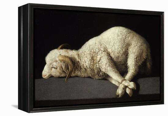 Agnus Dei, 1635-1640-Francisco de Zurbarán-Framed Premier Image Canvas