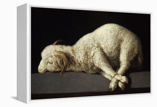 Agnus Dei, 1635-1640-Francisco de Zurbarán-Framed Premier Image Canvas