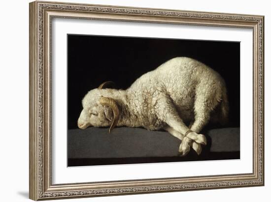 Agnus Dei, 1635-1640-Francisco de Zurbarán-Framed Giclee Print