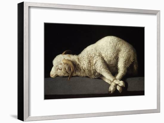 Agnus Dei, 1635-1640-Francisco de Zurbarán-Framed Giclee Print