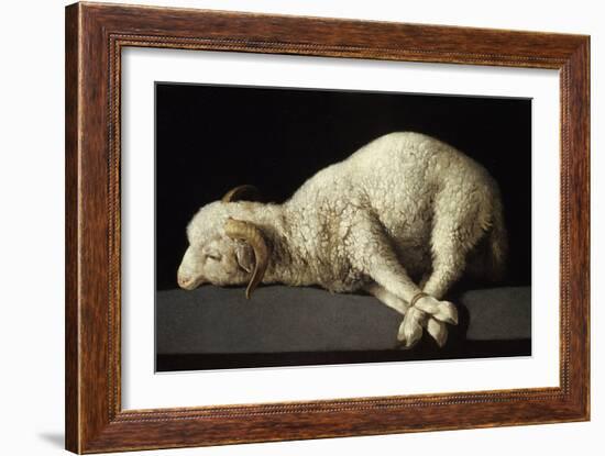 Agnus Dei, 1635-1640-Francisco de Zurbarán-Framed Giclee Print