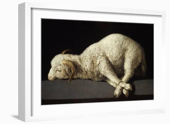 Agnus Dei, 1635-1640-Francisco de Zurbarán-Framed Giclee Print